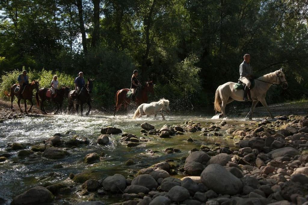 La Casella Antico Feudo Di Campagna Ficulle 外观 照片