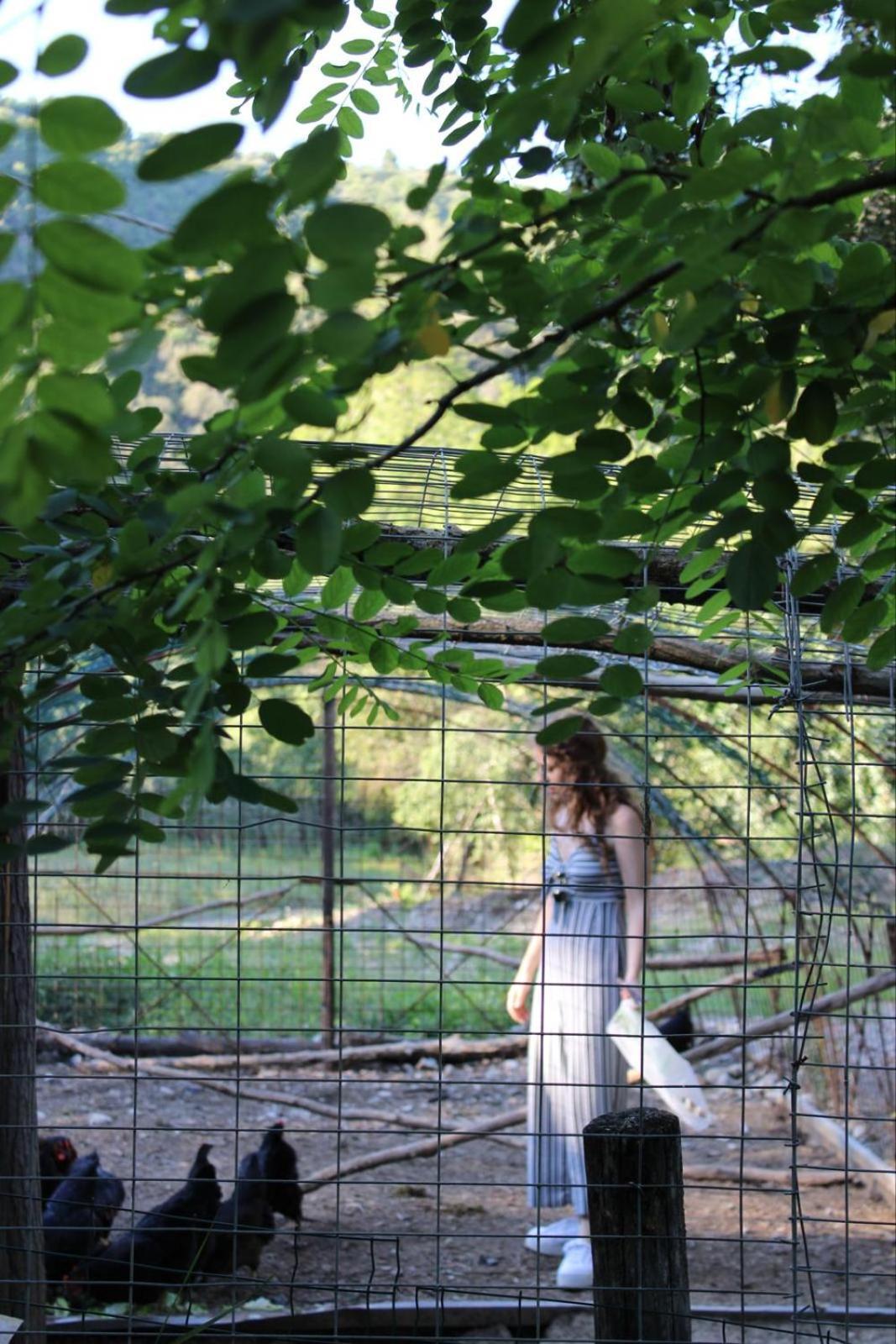 La Casella Antico Feudo Di Campagna Ficulle 外观 照片