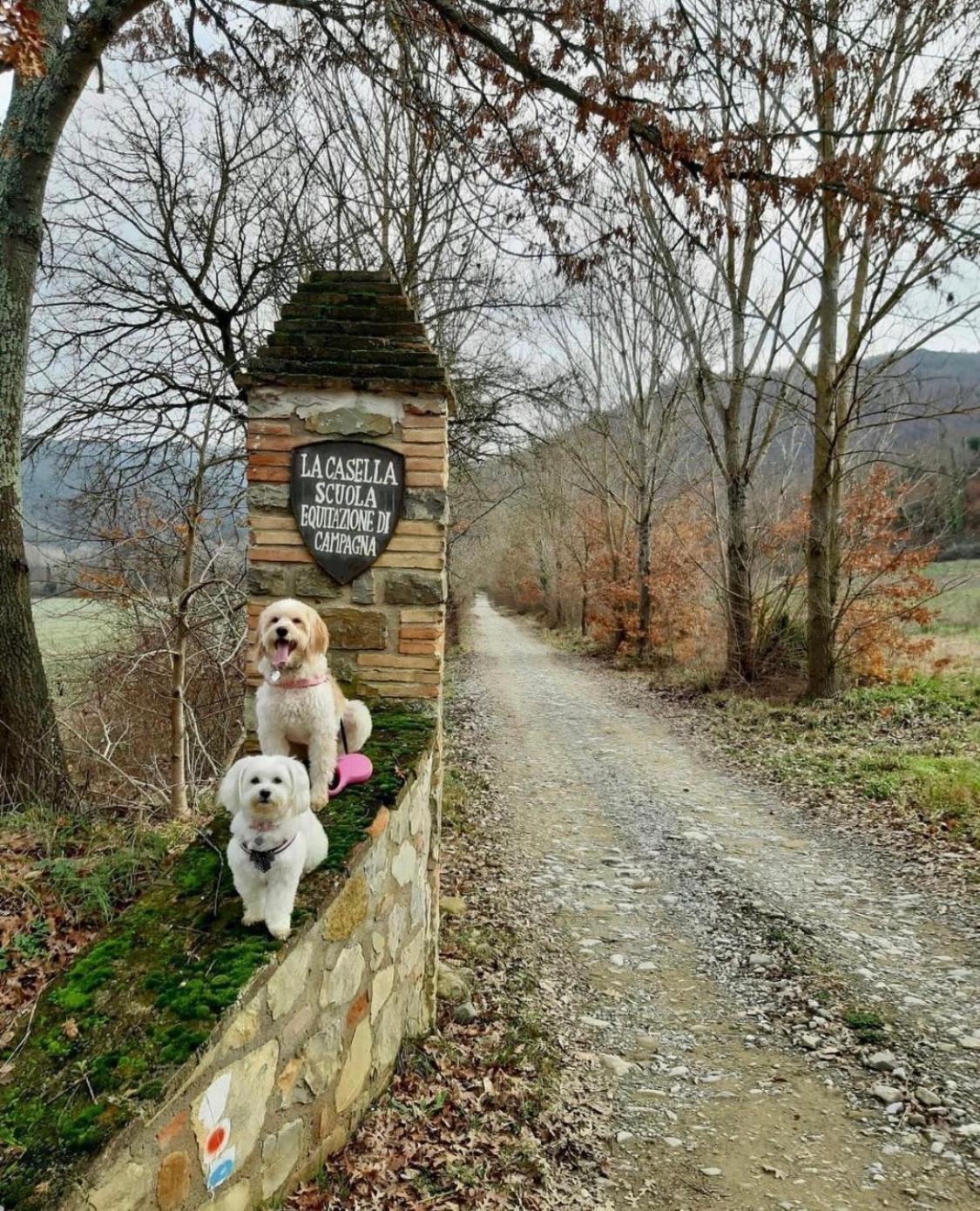 La Casella Antico Feudo Di Campagna Ficulle 外观 照片