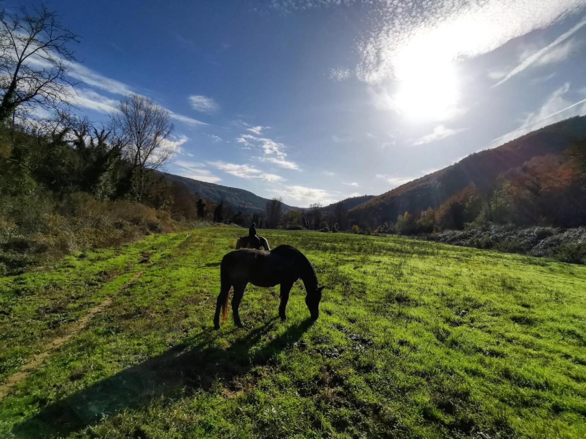 La Casella Antico Feudo Di Campagna Ficulle 外观 照片