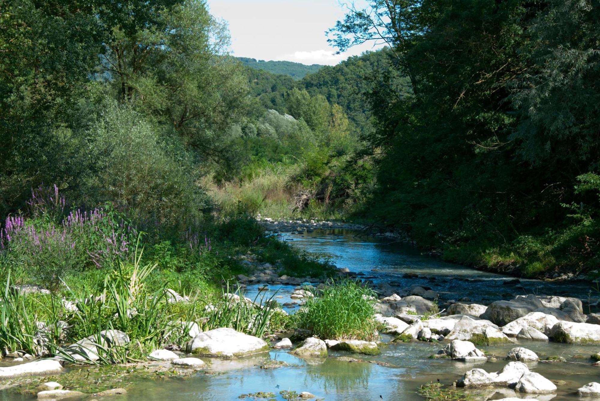 La Casella Antico Feudo Di Campagna Ficulle 外观 照片