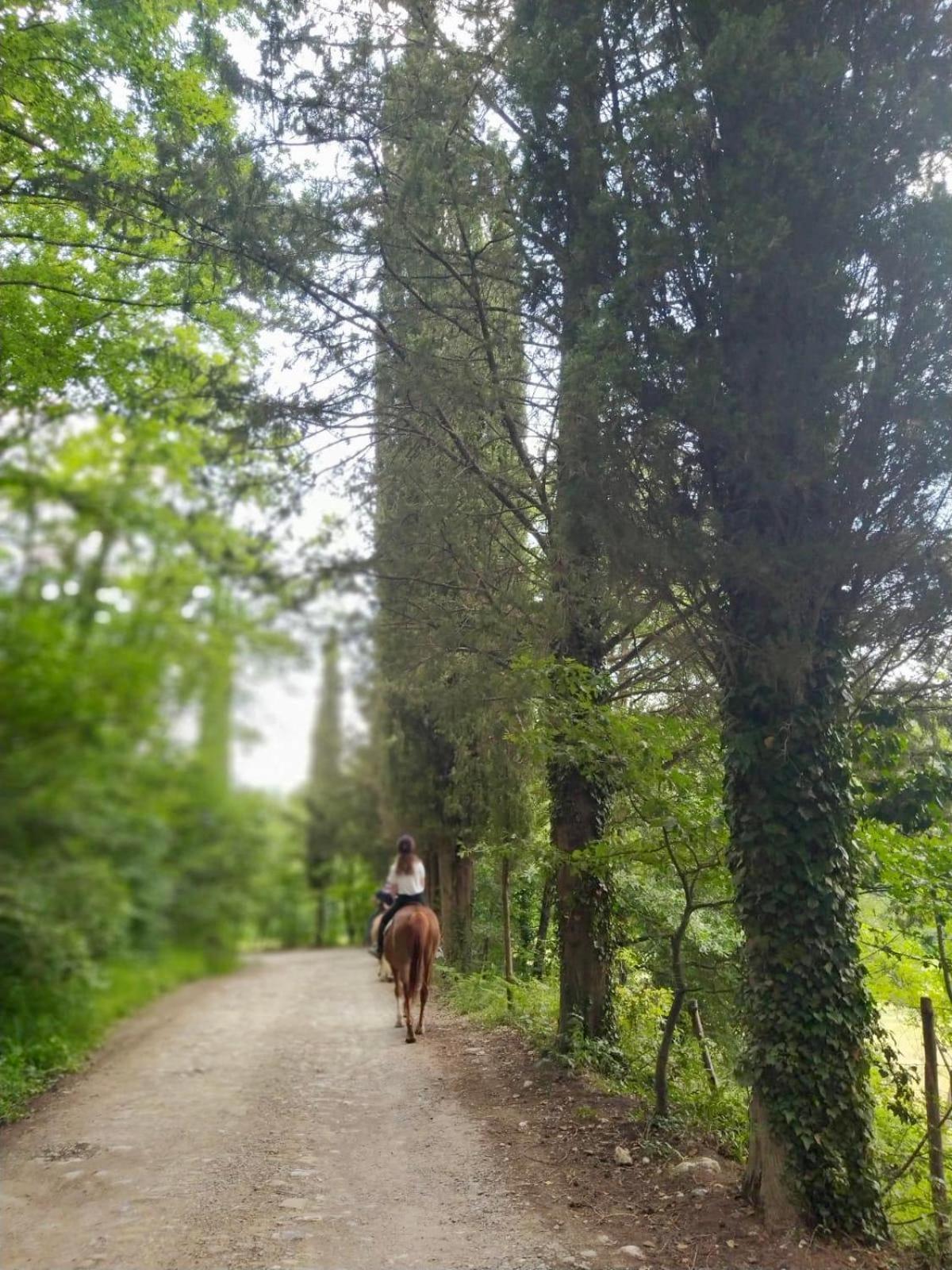 La Casella Antico Feudo Di Campagna Ficulle 外观 照片