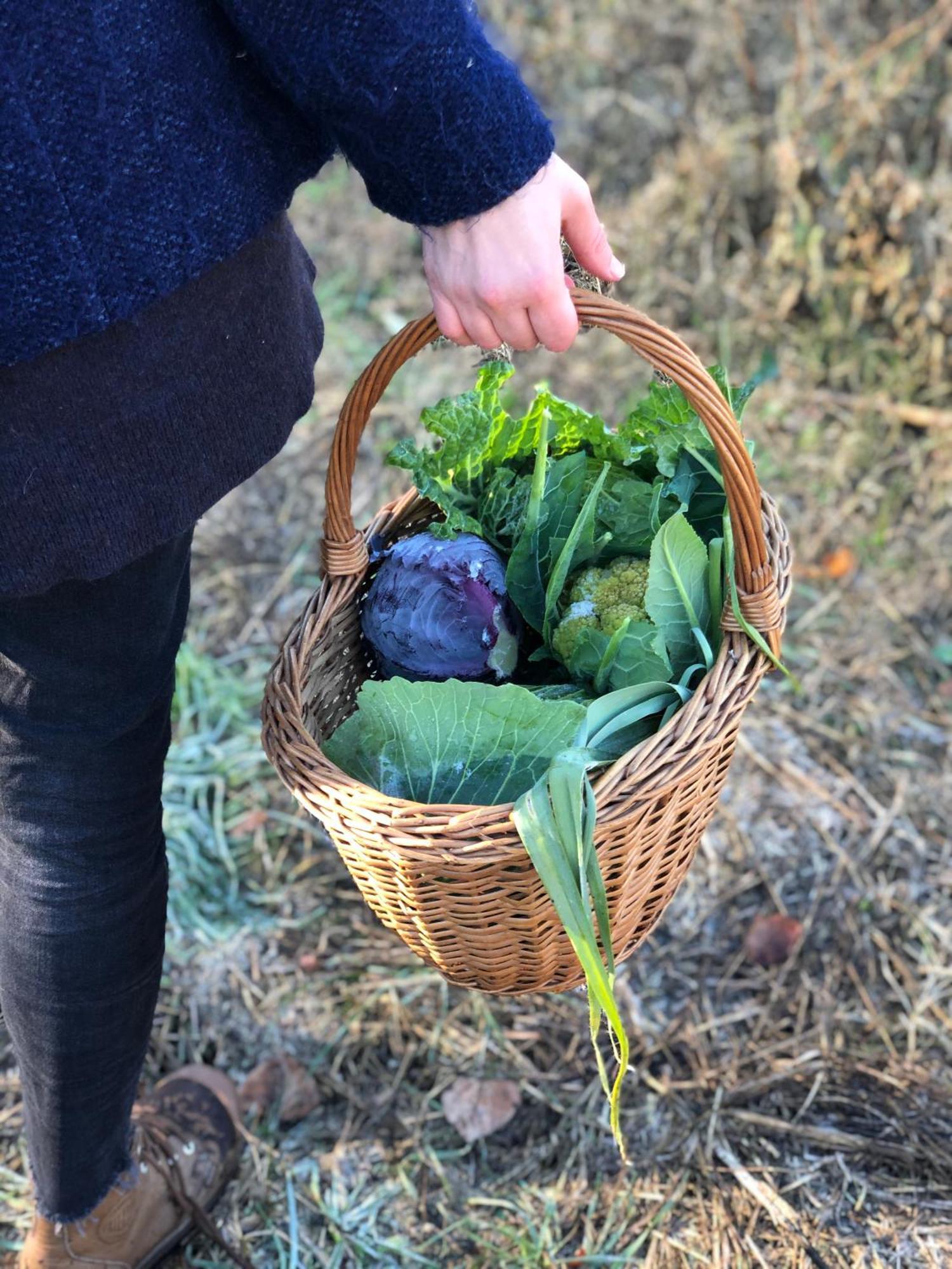 La Casella Antico Feudo Di Campagna Ficulle 外观 照片