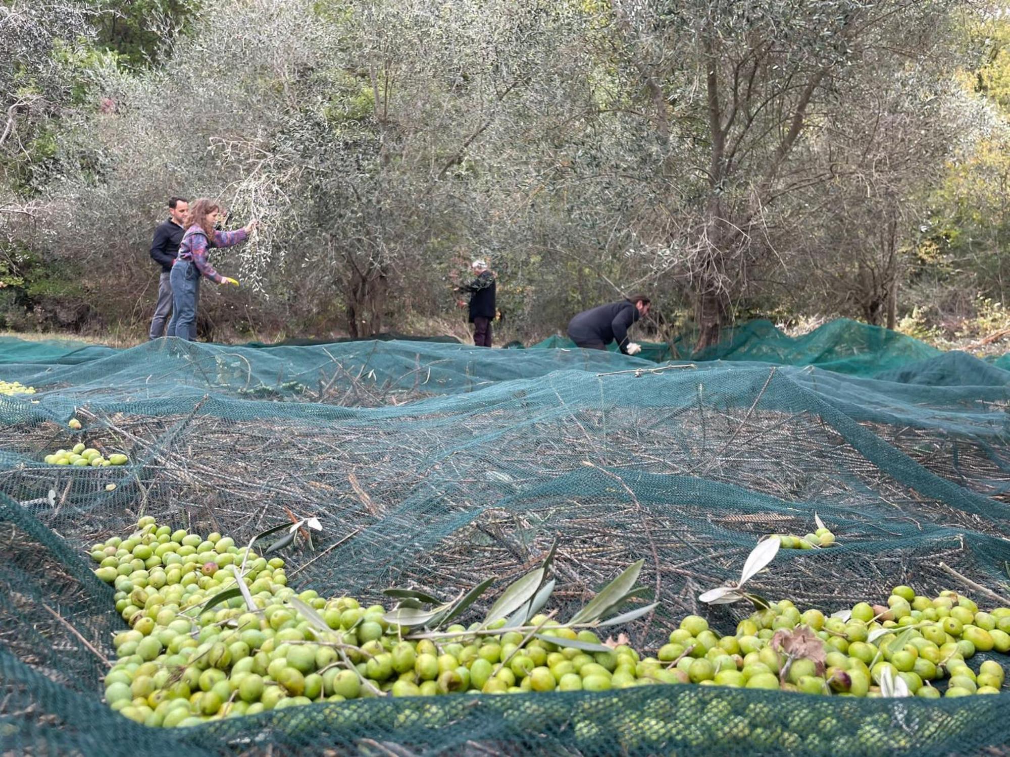 La Casella Antico Feudo Di Campagna Ficulle 外观 照片